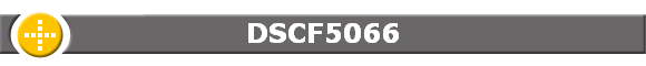 DSCF5066