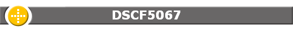 DSCF5067