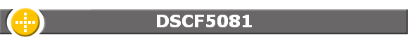DSCF5081