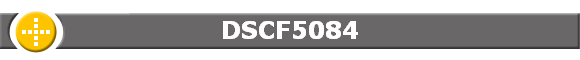 DSCF5084