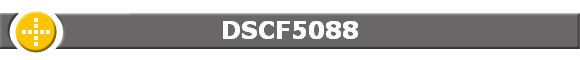 DSCF5088