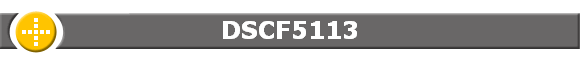 DSCF5113