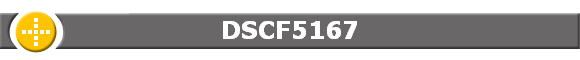 DSCF5167