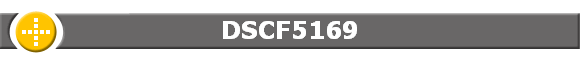DSCF5169